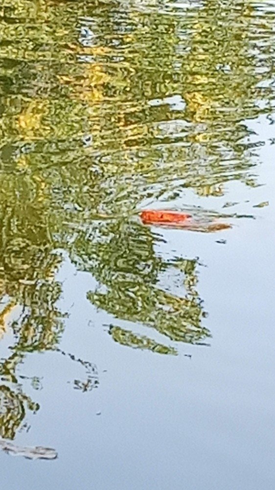 Photograph by Алия Байсыкова