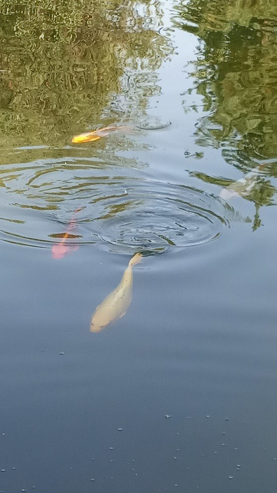 Photograph by Алия Байсыкова