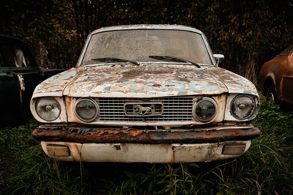 Photograph by Пётр Дедковский