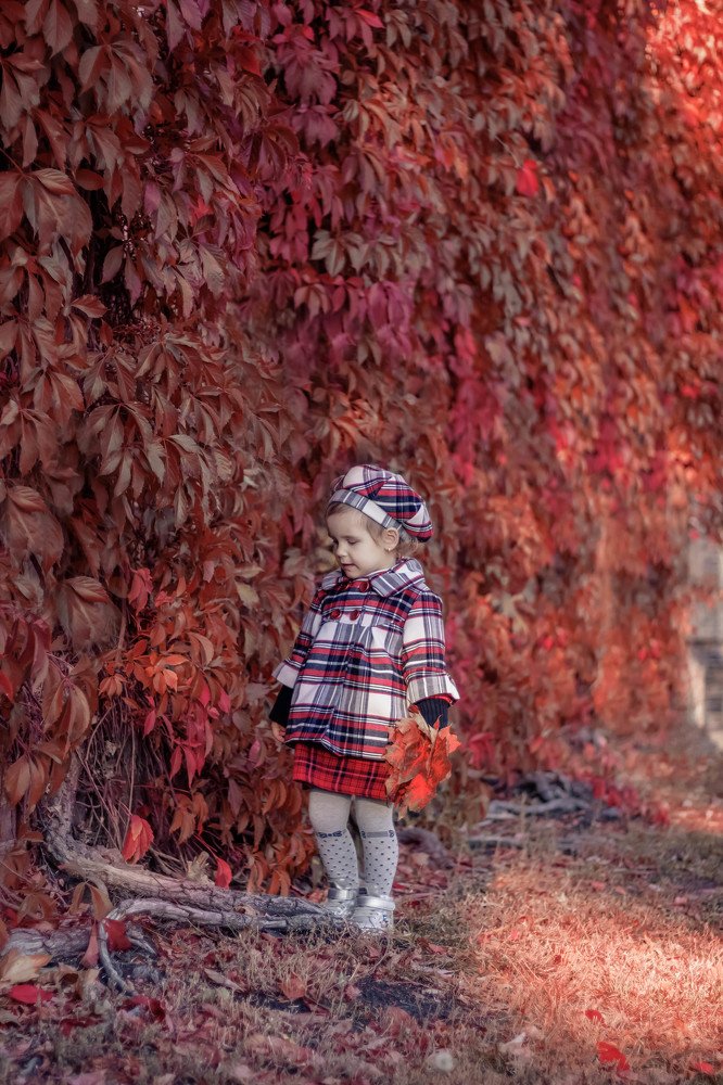 Photograph by Диана Лукашевич