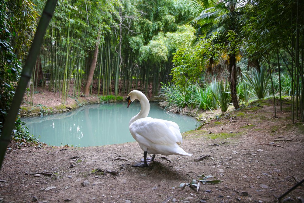 Photograph by Надежда Шелест