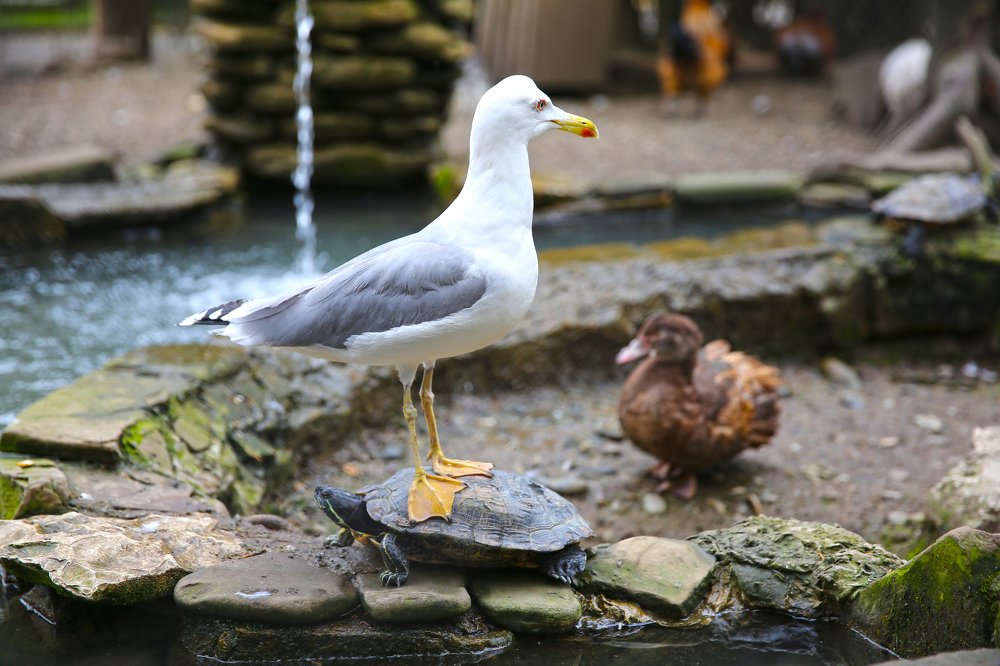 Photograph by Надежда Шелест