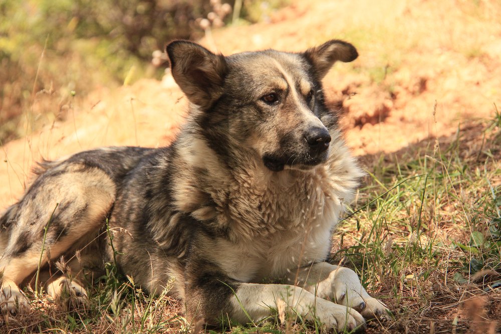 Photograph by Тихонина Анна