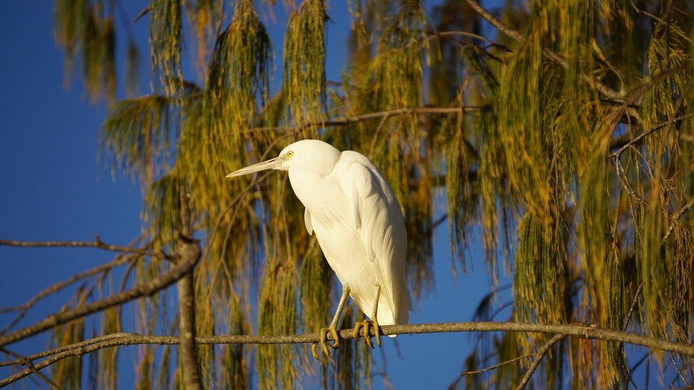 Photograph by Снежана Фирсова