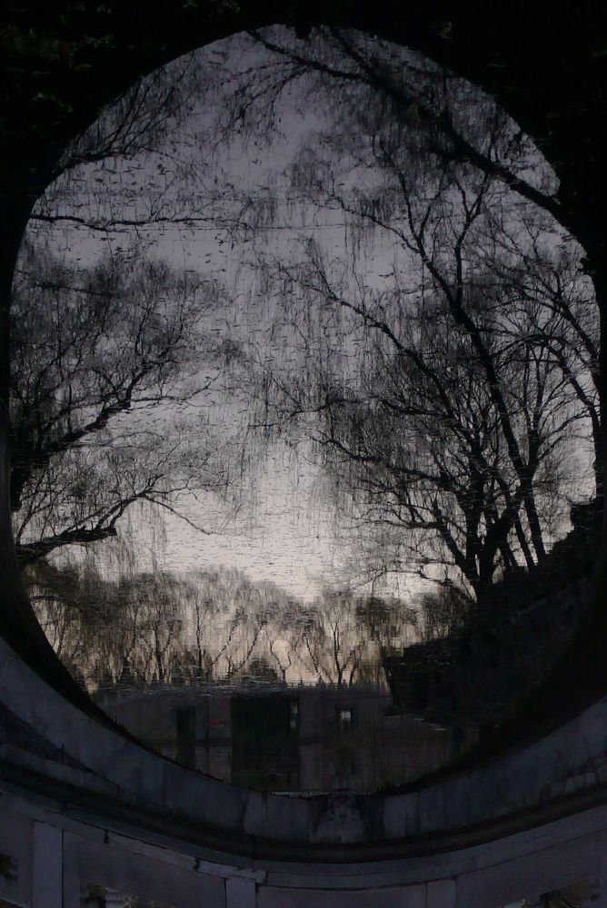 Photo #5132426