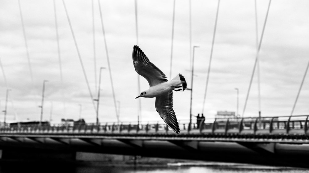 Photograph by Алия Айткалиева