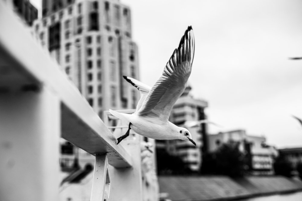 Photograph by Алия Айткалиева