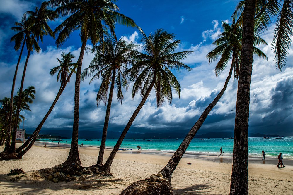 Photograph by Csoti Bela