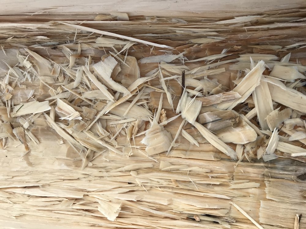 Сердце дерева