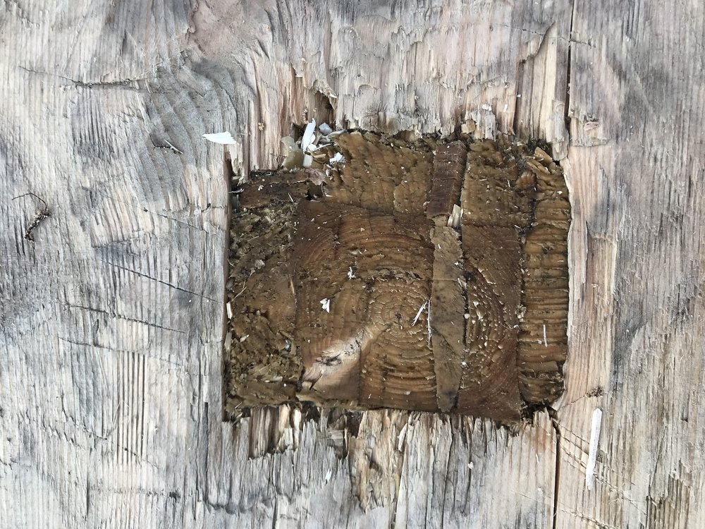 Photograph by Елена Острахович