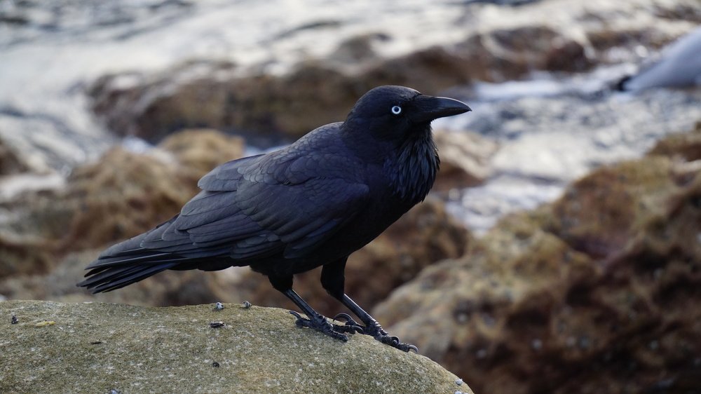 Photograph by Снежана Фирсова