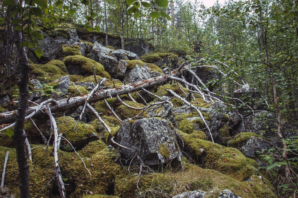 Photograph by Анна Колесникова