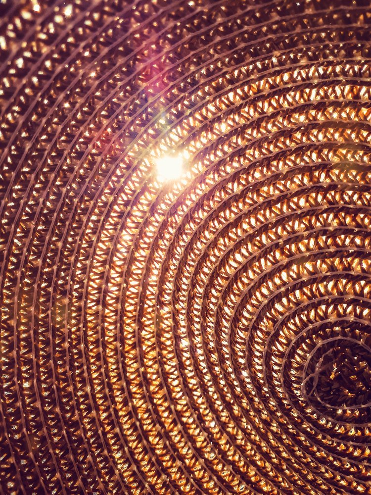 Photograph by Shimica Nowrotham