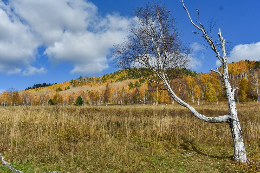 Photograph by Амир Гильмутдинов