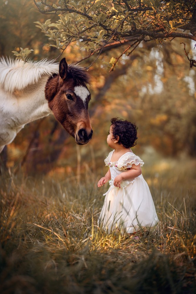 Фотография автора Ana Verdugo