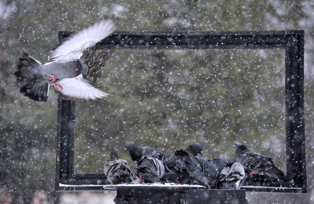 Photograph by Юрий Яковлев