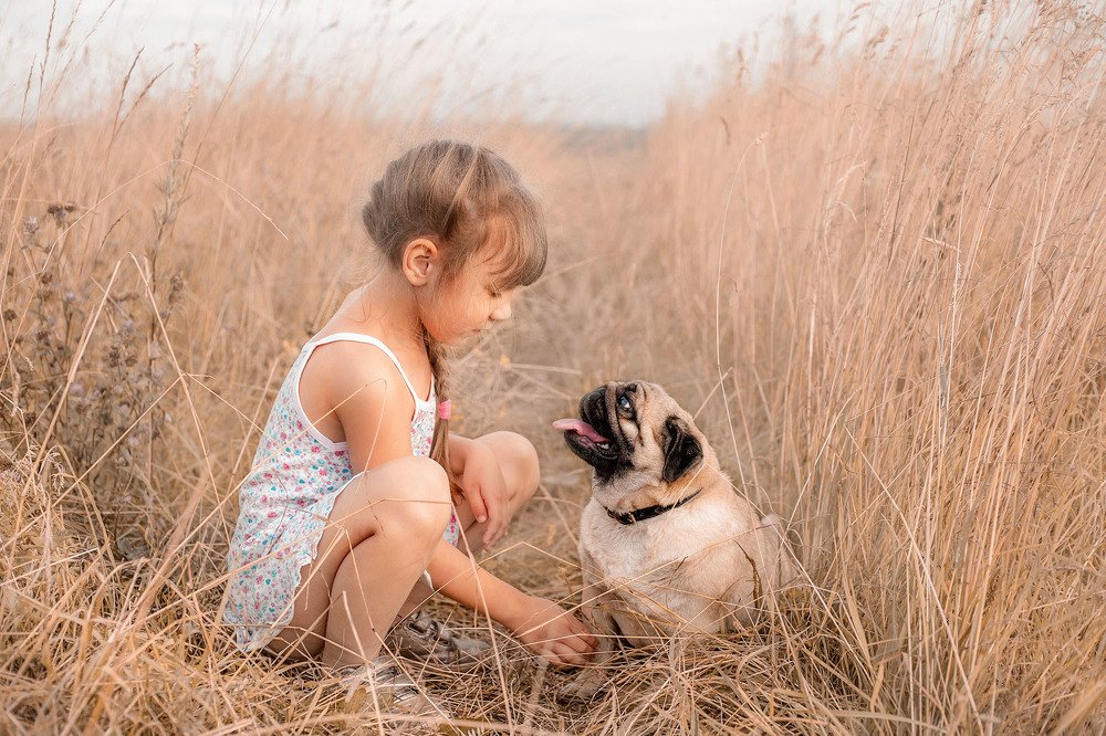 Photograph by Михеева Олеся