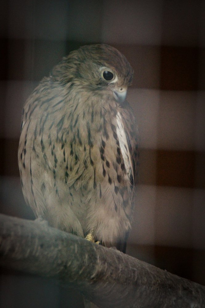 Photograph by Yaniv Abramovitz