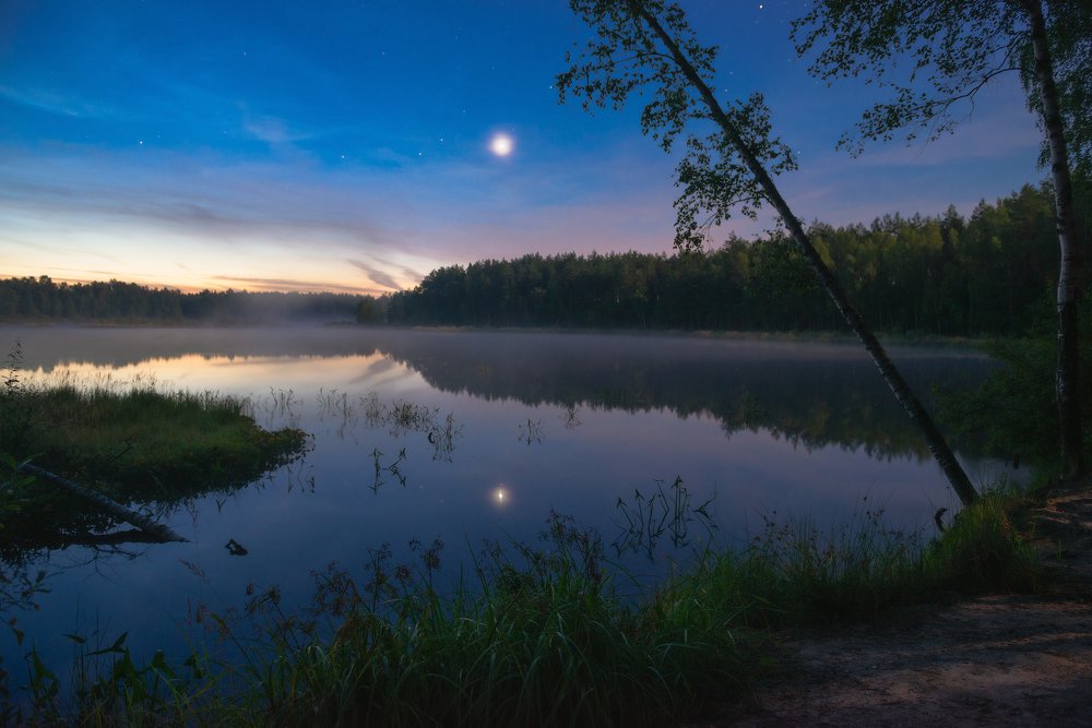 "Сериус в отражении лесного озера в летнюю ночь"