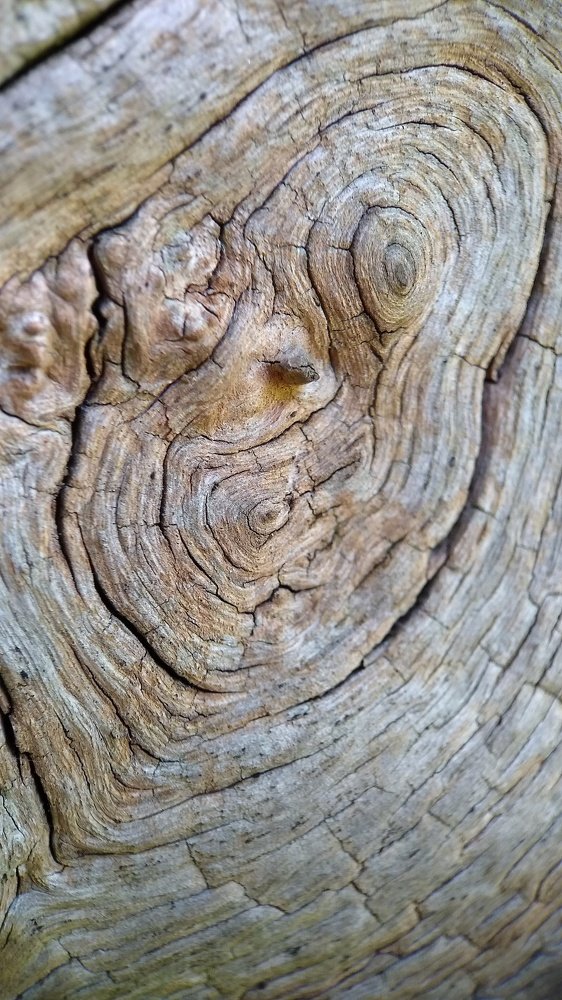 Photograph by Раиса Ламли