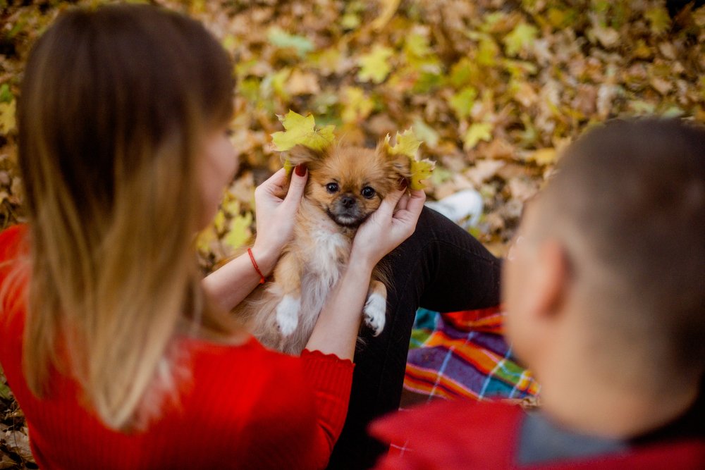 Photograph by Катя Бушная