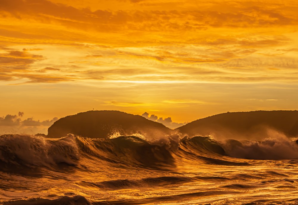 Photograph by Carlos Macias