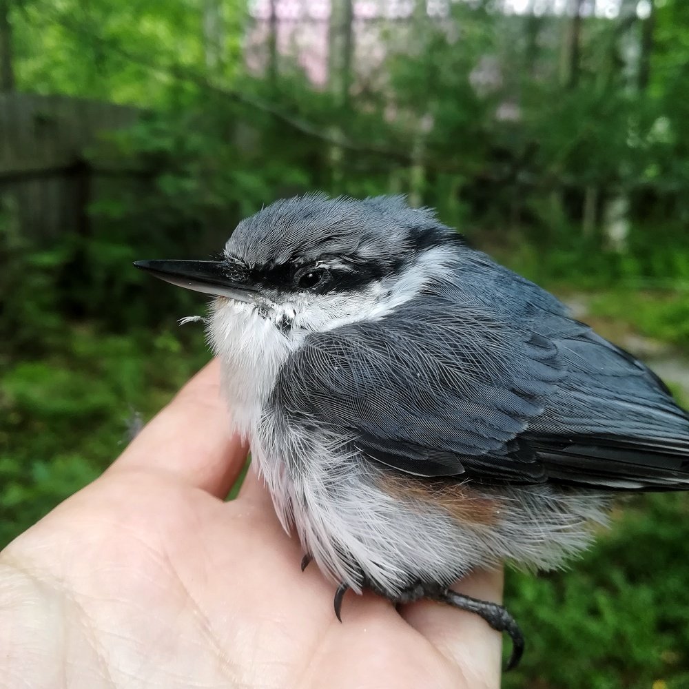 Photograph by Оксана Шевченко