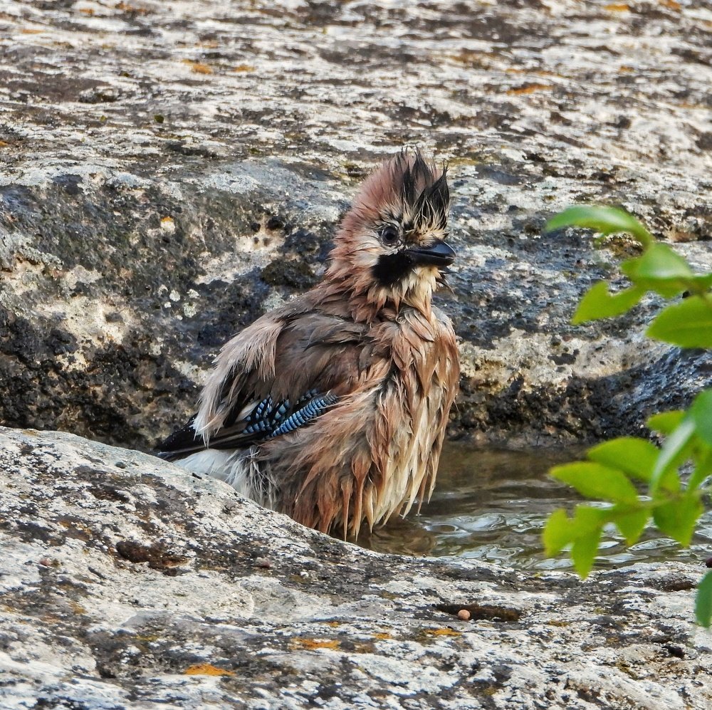 Photograph by Дмитрий Батагов