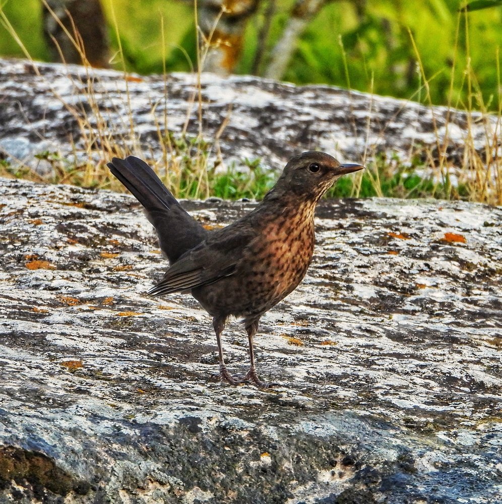 Photograph by Дмитрий Батагов