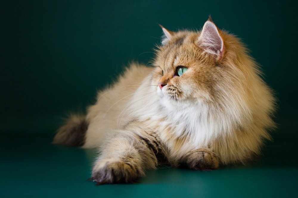 Photograph by Любовь Конева