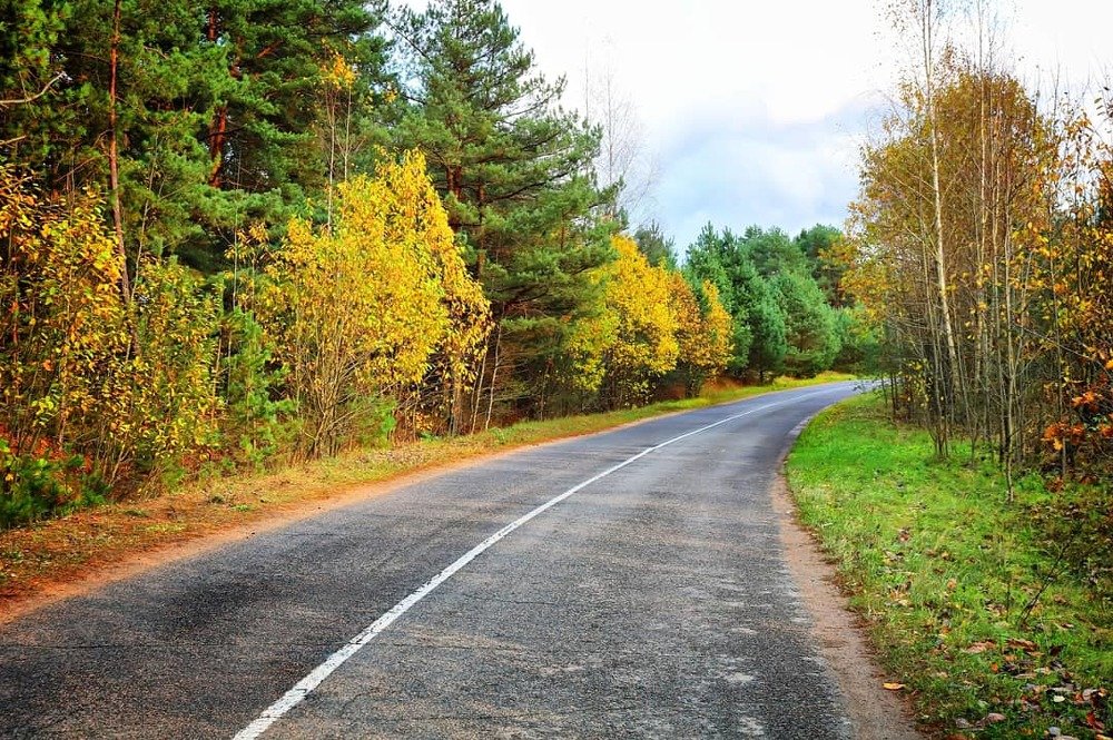 Фотография автора Анастасия Пищулова