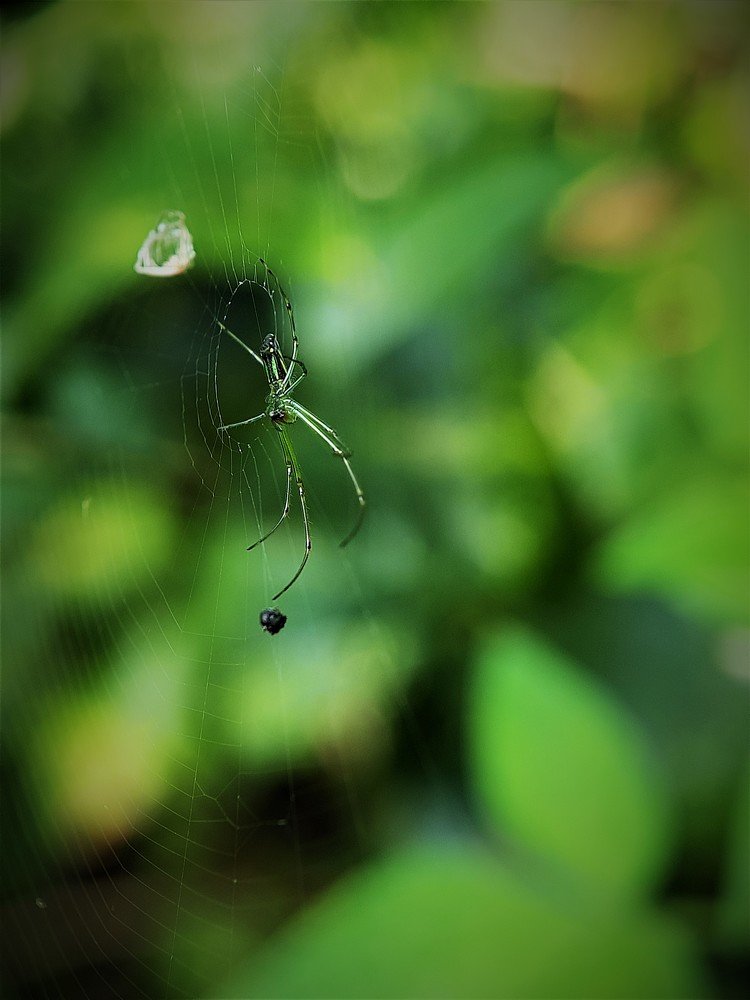 Photograph by pradeep mohanty