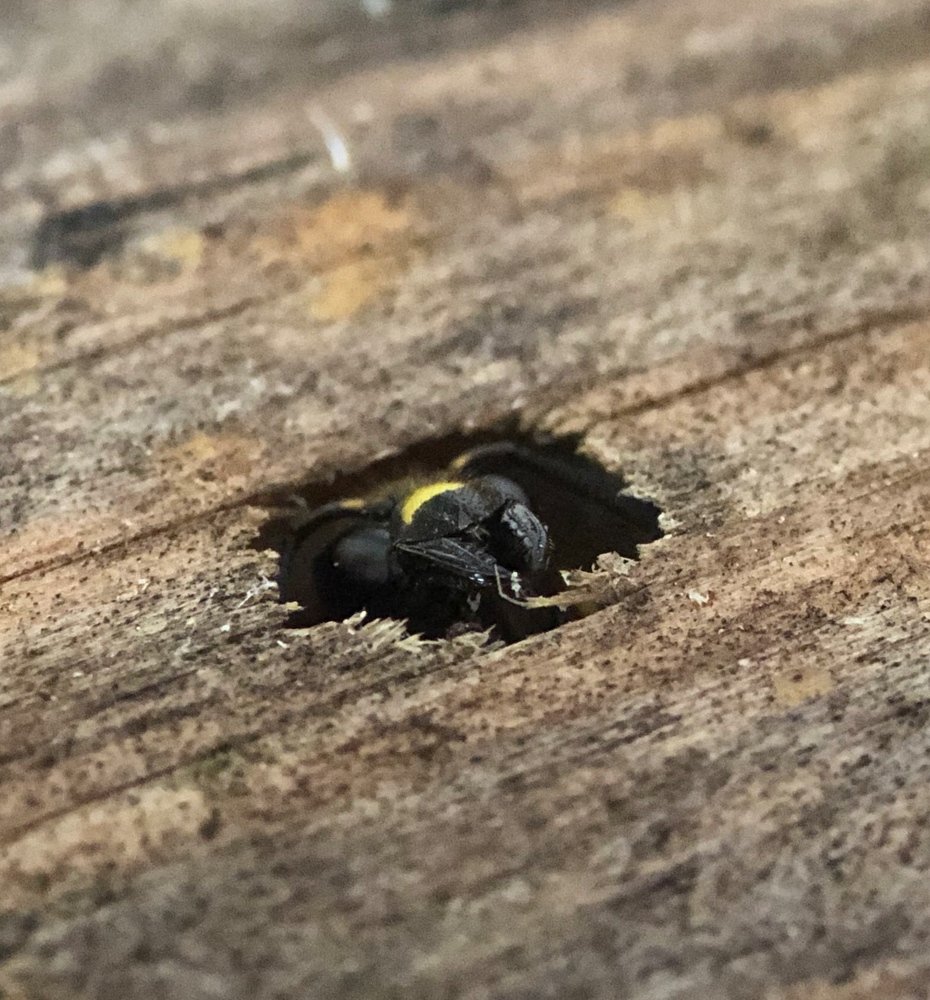 Встреча гостей