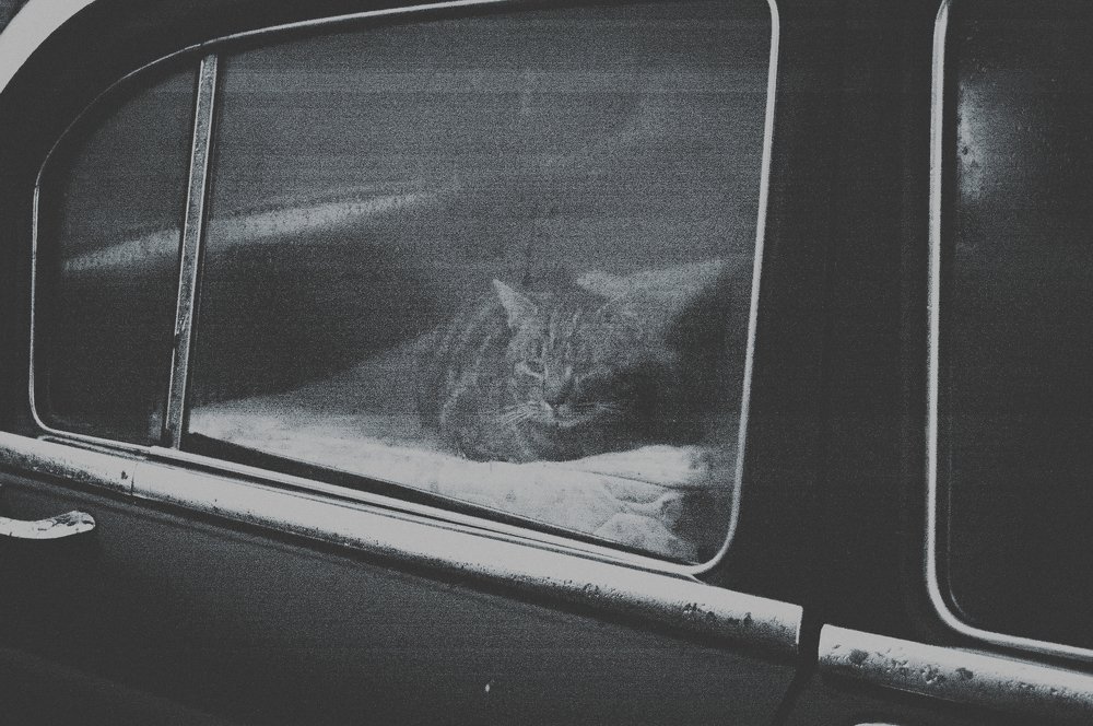 Photograph by Marius Žvikas