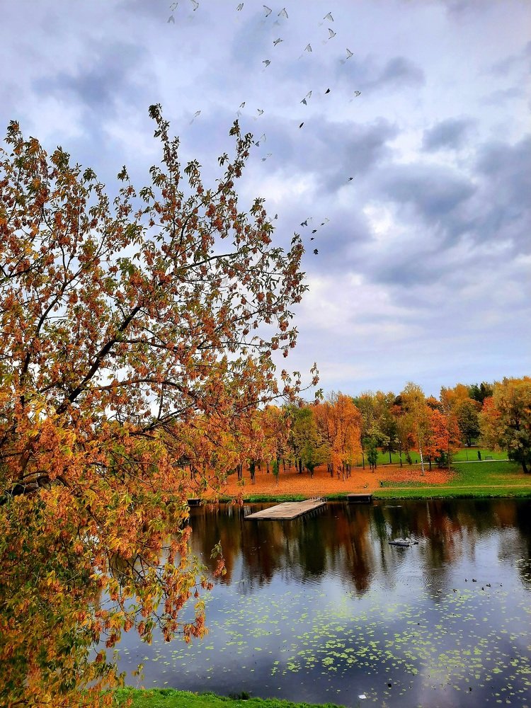 Photograph by Марина Игнатьева