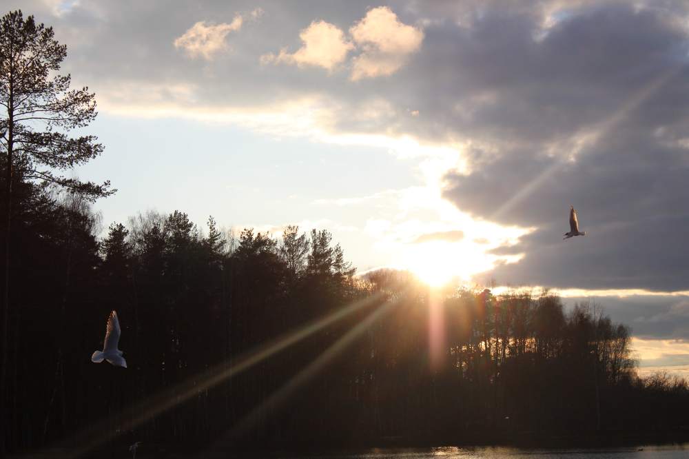 Photograph by Алина Лебедева