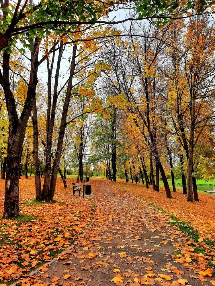 Photograph by Марина Игнатьева