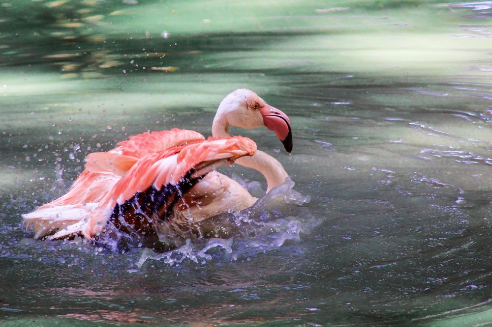 Photograph by Юлия Минаева