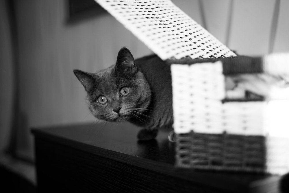 Photograph by Максим Сорокин