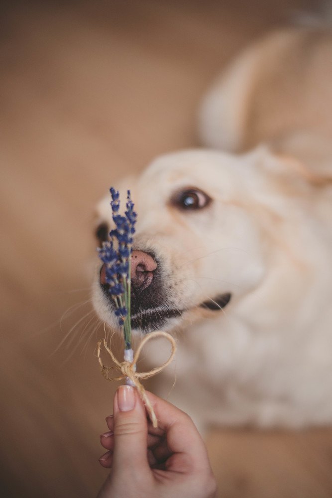 Photograph by Максим Сорокин