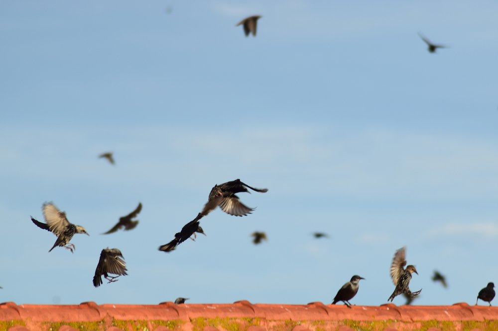 Photograph by Gabriella Sicurello