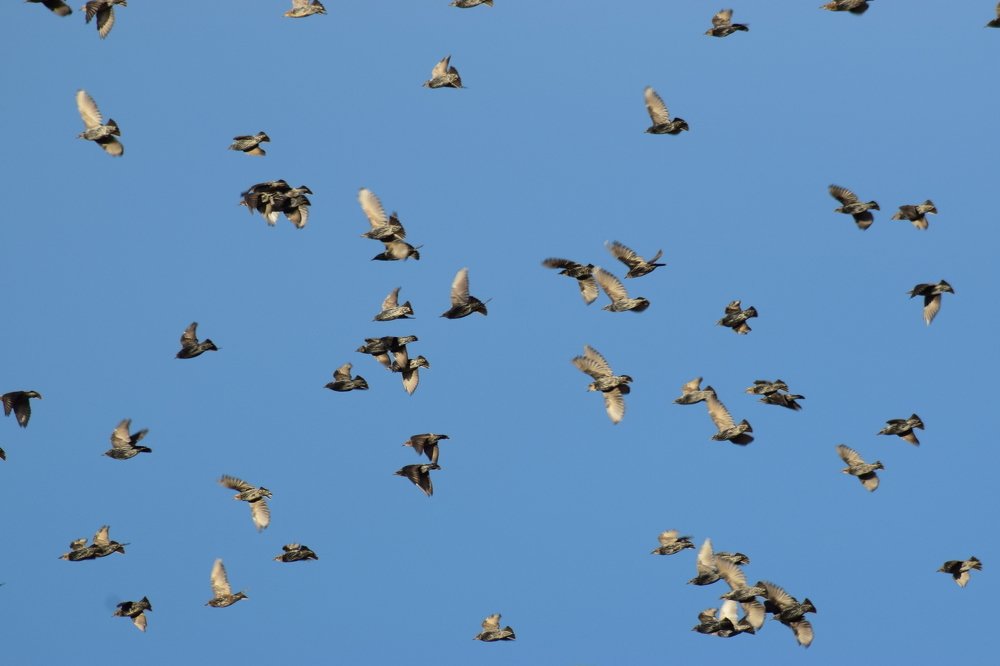 Photograph by Gabriella Sicurello