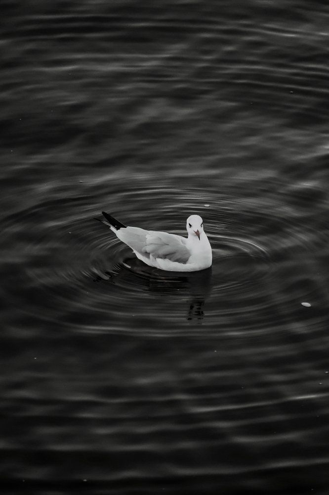 Photograph by Юлия Минаева