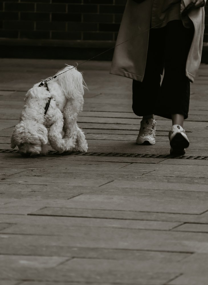 Photograph by Юлия Минаева