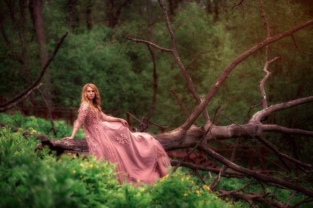 Photograph by 
