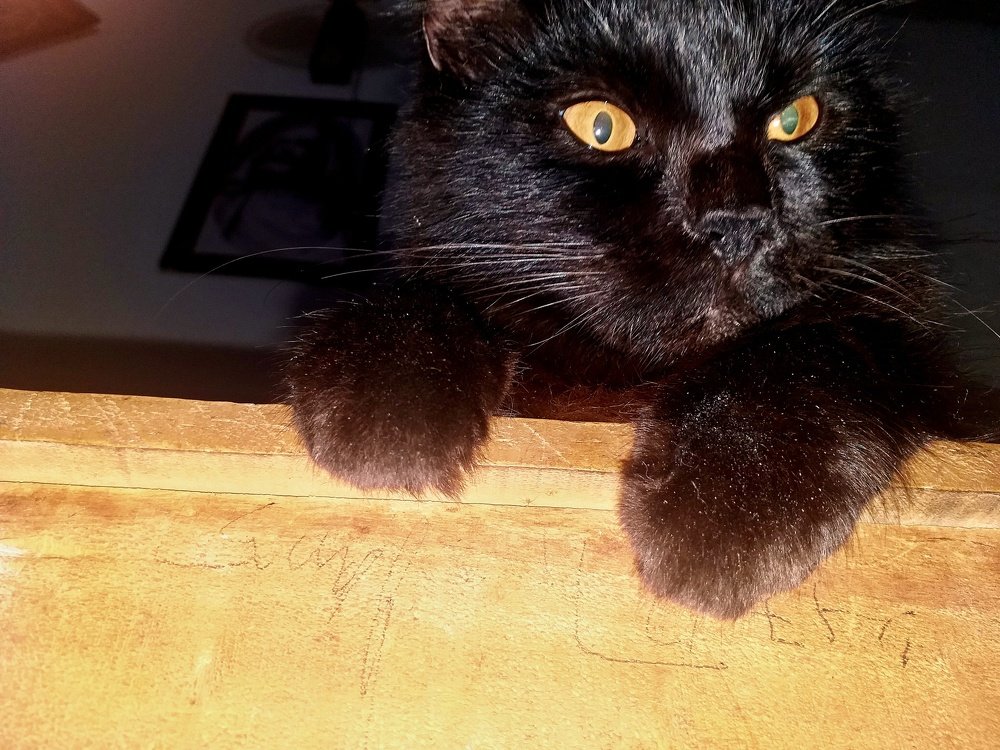 Photograph by har yono