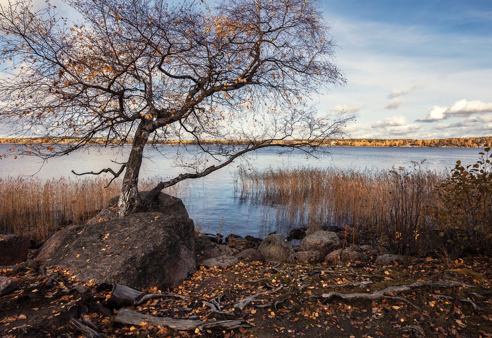 Через все преграды к жизни