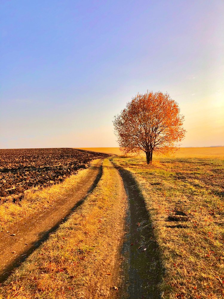Photograph by Евгения Ципрук