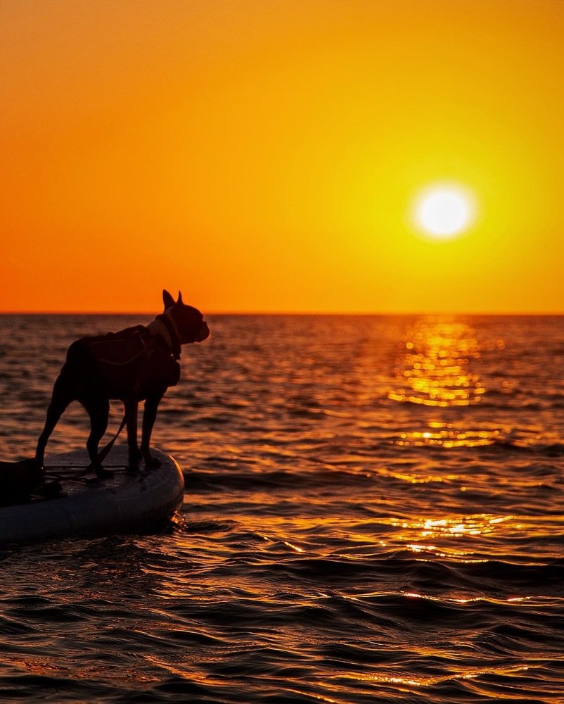 Photograph by Юлия Калугина