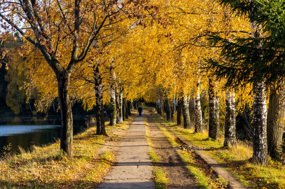 Photograph by Sergey Uskov